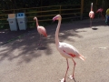 20160520-4.jpg