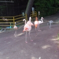 20160520-5.jpg